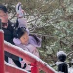 現在の画像に代替テキストがありません。ファイル名: PXL_20260103_034348469.MP_.jpg