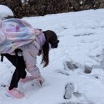 現在の画像に代替テキストがありません。ファイル名: PXL_20260103_035829436.jpg